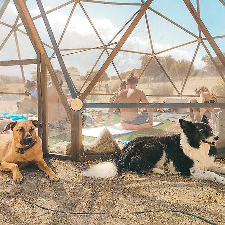 알카세르두살 Visit Pachamama Community 아파트 외부 사진