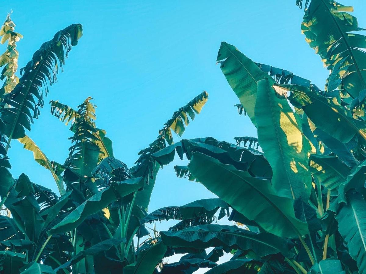 알카세르두살 Visit Pachamama Community 아파트 외부 사진
